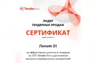 О вручении сертификата «Лидер тендерных продаж» 2025 в Иркутске 